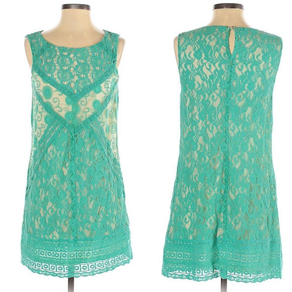 Anthro Champagne and Strawberry Lace Dress Floral Blue Shift Summer Size S